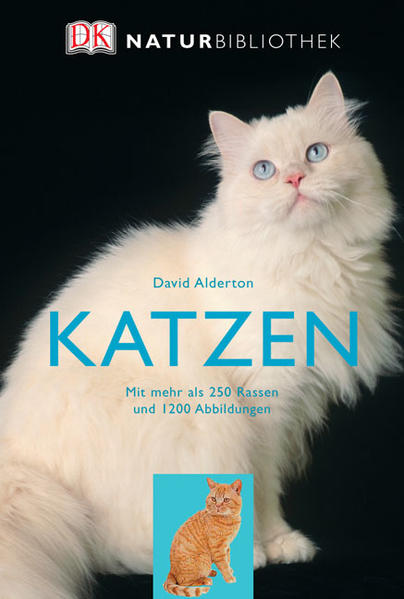Katzen