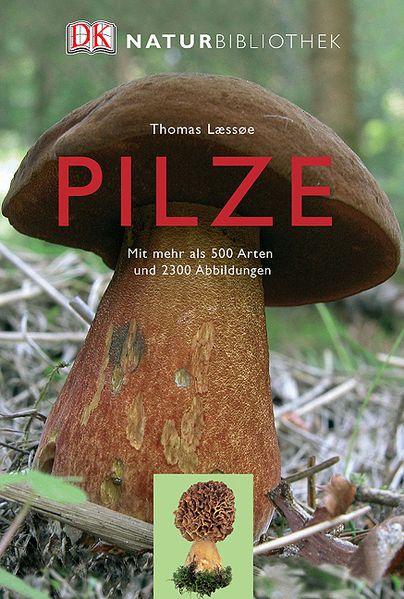 Pilze