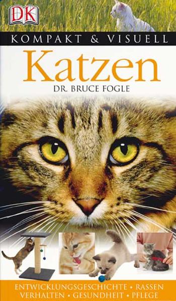 Katzen