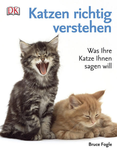 Katzen richtig verstehen