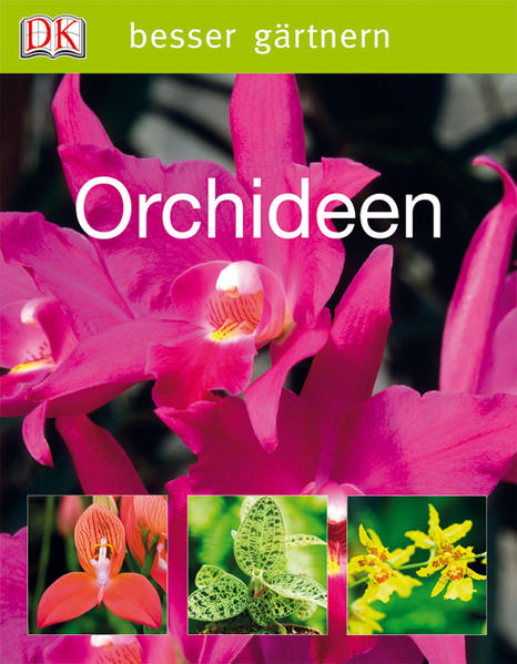 Orchideen