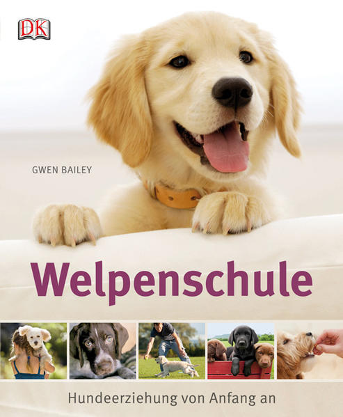 Welpenschule