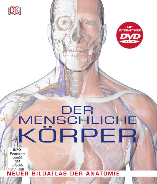 Der menschliche Körper