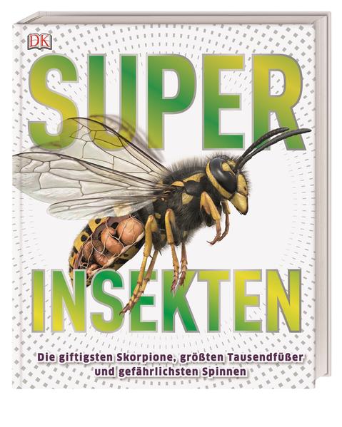 Superinsekten