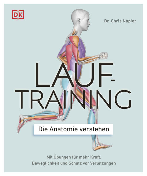 Lauftraining – Die Anatomie verstehen