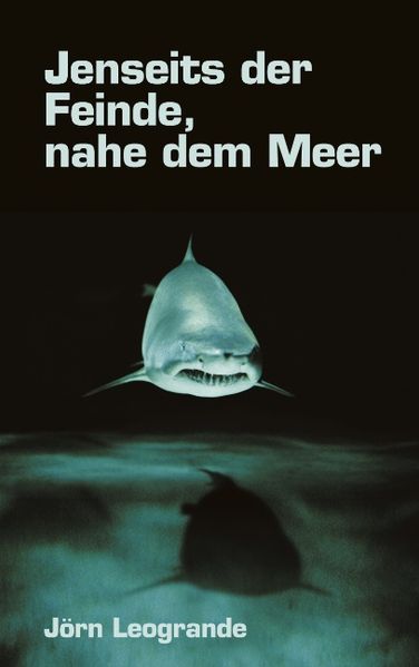 Jenseits der Feinde