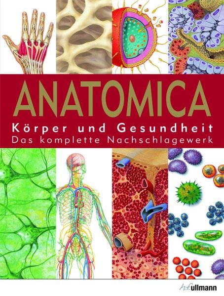 Anatomica