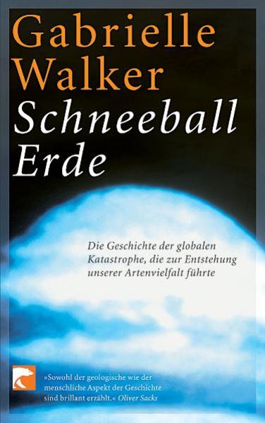 Schneeball Erde