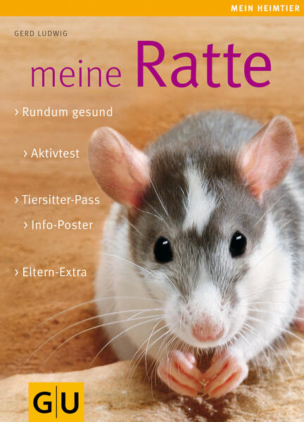 Meine Ratte
