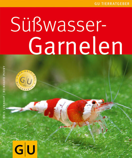 Süßwasser-Garnelen