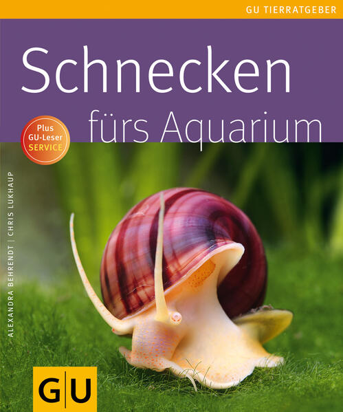 Schnecken fürs Aquarium