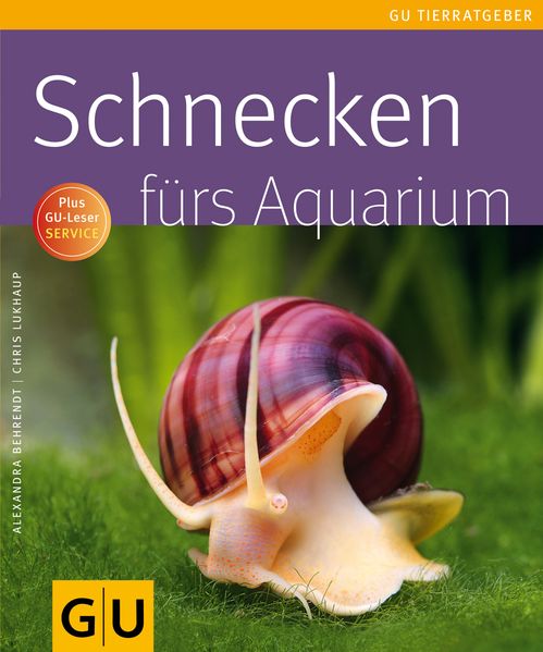 Schnecken fürs Aquarium