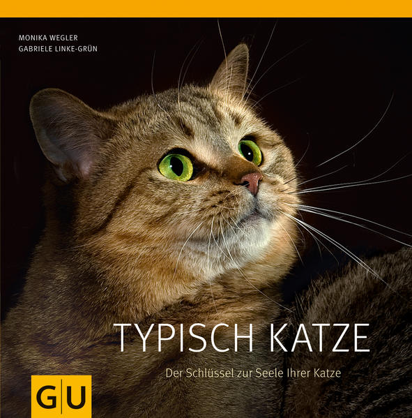 Typisch Katze