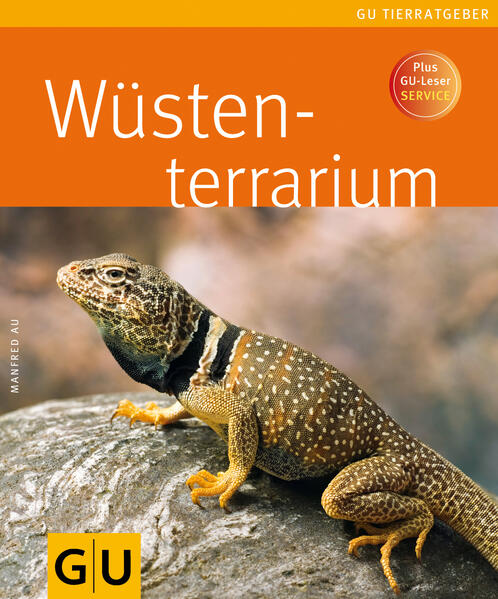 Wüstenterrarium