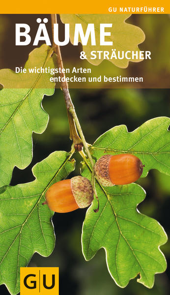 Bäume & Sträucher