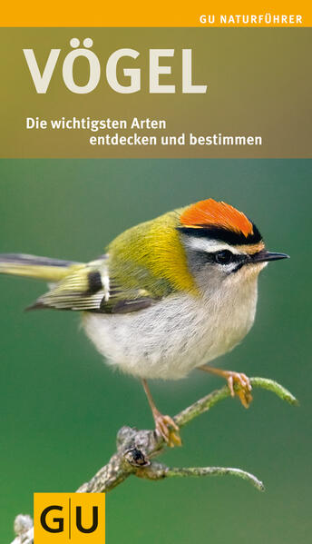 Vögel