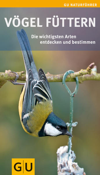 Vögel füttern