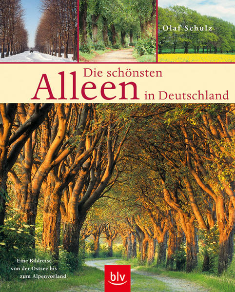 Die schönsten Alleen in Deutschland