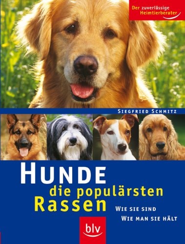 Hunde - die populärsten Rassen
