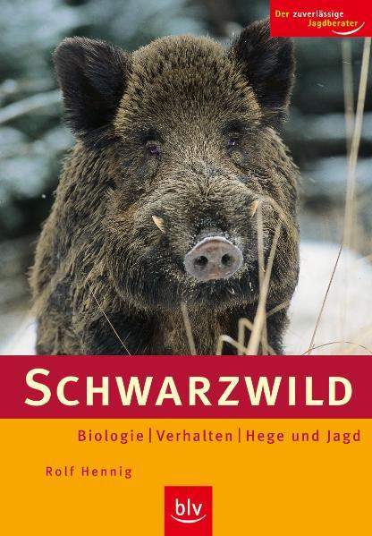 Schwarzwild