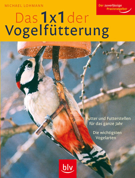 Das 1 x 1 der Vogelfütterung