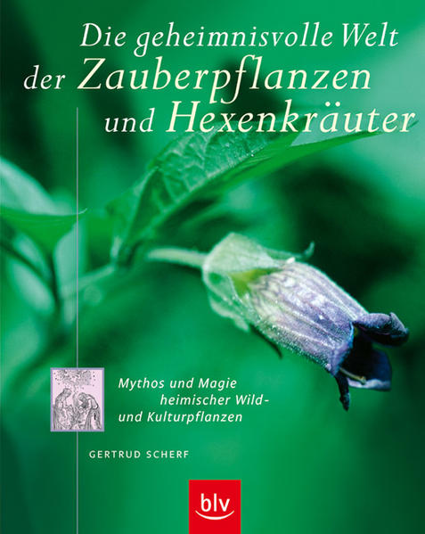 Die geheimnisvolle Welt der Zauberpflanzen und Hexenkräuter