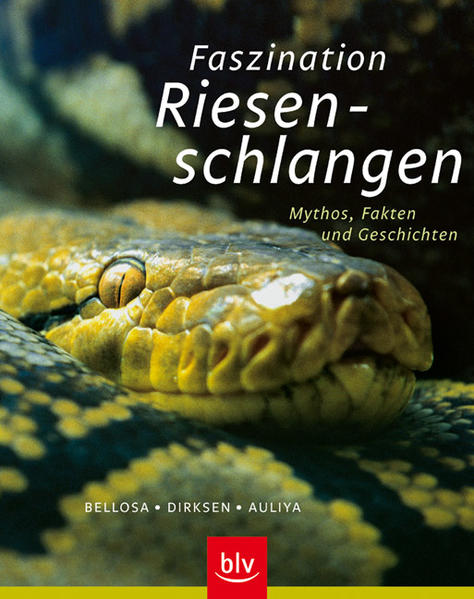 Faszination Riesenschlangen