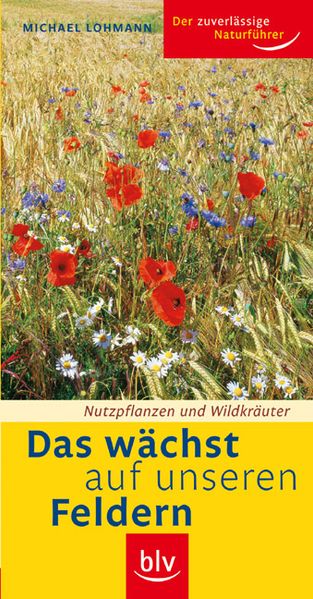 Das wächst auf unseren Feldern