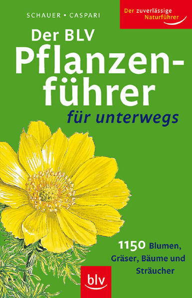 Der BLV Pflanzenführer für unterwegs