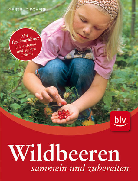 Wildbeeren sammeln und zubereiten