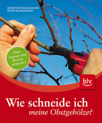 Wie schneide ich meine Obstgehölze?