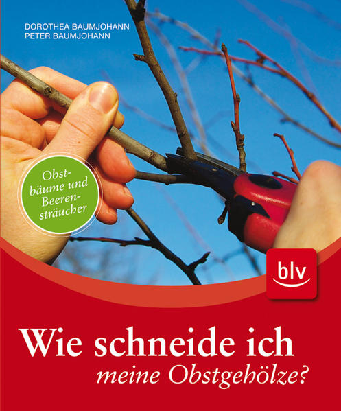 Wie schneide ich meine Obstgehölze?