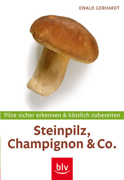 Steinpilz, Champignon & Co. - mit Messer