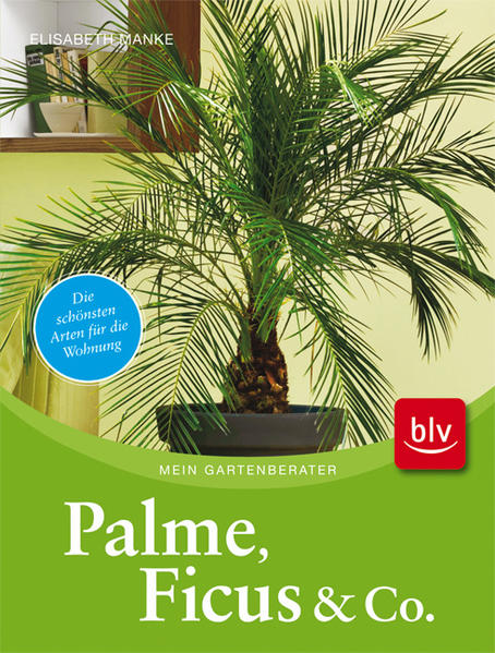 Palme, Ficus und Co.