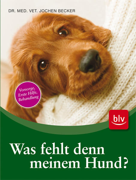 Was fehlt denn meinem Hund?