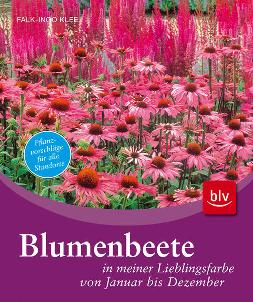 Blumenbeete in meiner Lieblingsfarbe von Januar bis Dezember