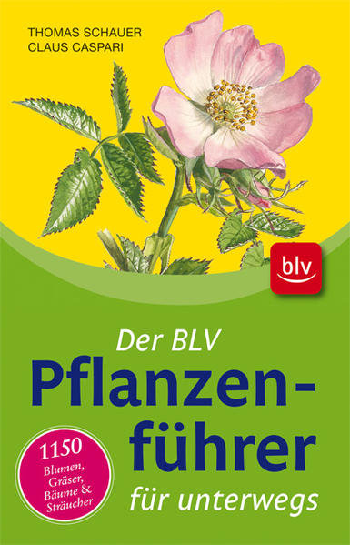 Der BLV Pflanzenführer für unterwegs