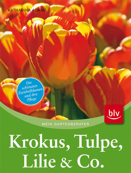 Krokus, Tulpe, Lilie & Co.