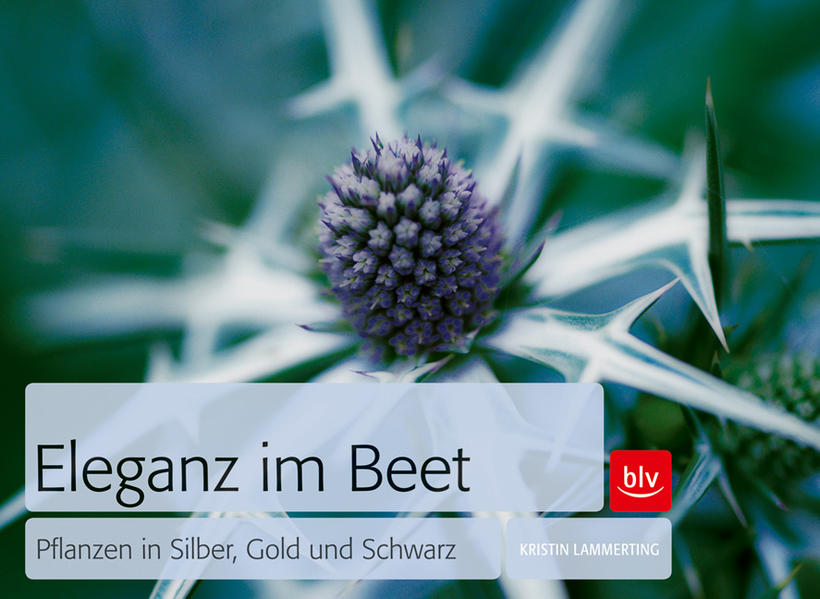 Eleganz im Beet