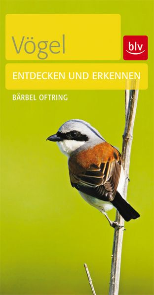 Vögel