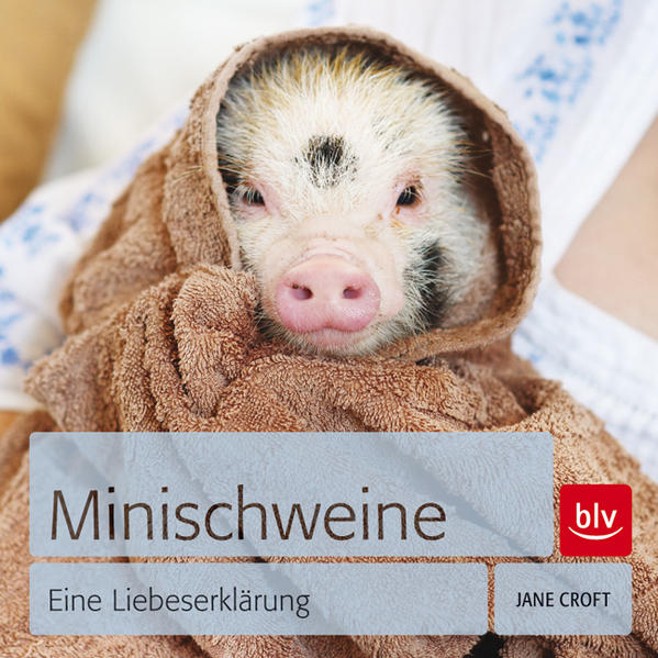 Minischweine