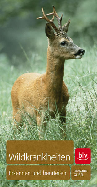 Wildkrankheiten 