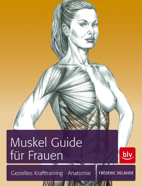 Muskel Guide für Frauen  