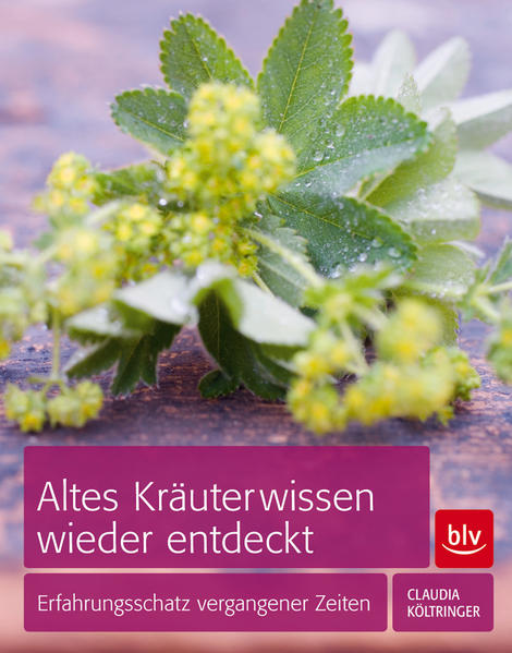 Altes Kräuterwissen wieder entdeckt