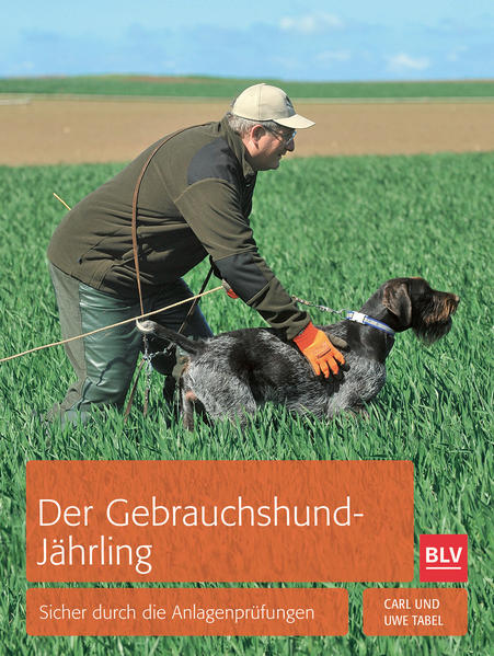 Der Jagdgebrauchshund-Jährling