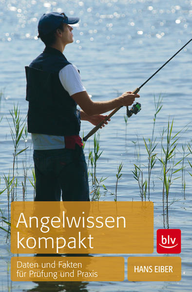 Angelwissen kompakt