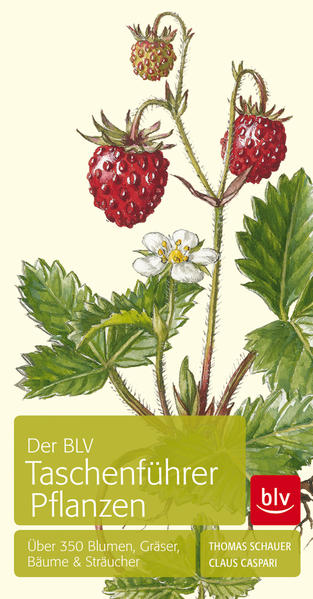 Der BLV Taschenführer Pflanzen
