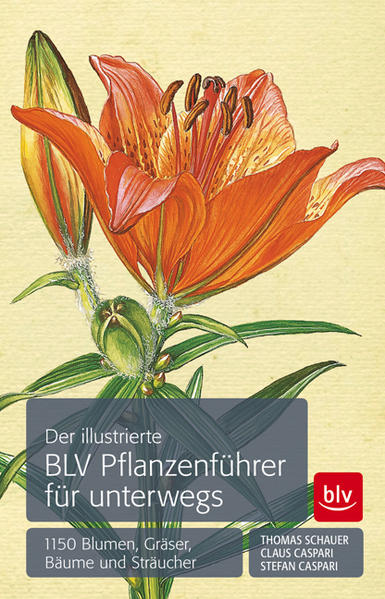 Der illustrierte BLV Pflanzenführer für unterwegs