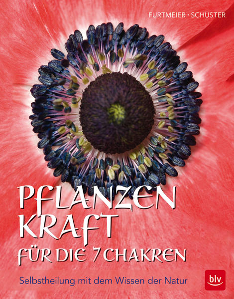 Pflanzenkraft für die 7 Chakren