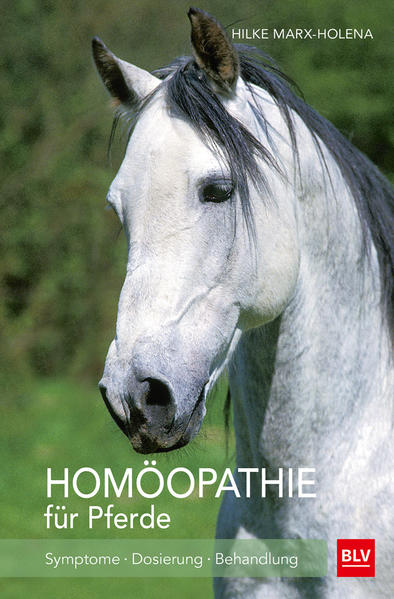 Homöopathie für Pferde